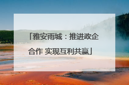 雅安雨城：推进政企合作 实现互利共赢