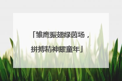 雏鹰振翅绿茵场，拼搏精神耀童年