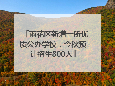 雨花区新增一所优质公办学校，今秋预计招生800人