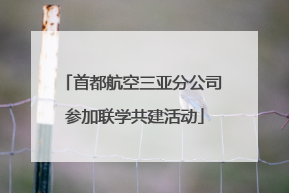 首都航空三亚分公司参加联学共建活动