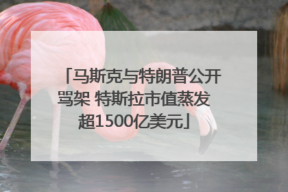 马斯克与特朗普公开骂架 特斯拉市值蒸发超1500亿美元