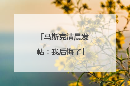 马斯克清晨发帖：我后悔了