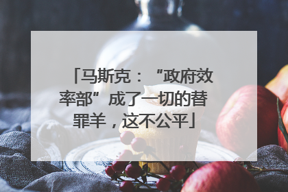 马斯克：“政府效率部”成了一切的替罪羊，这不公平
