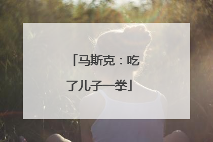 马斯克：吃了儿子一拳
