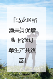 马龙区稻渔共舞促增收 稻渔订单生产共致富
