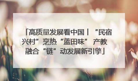 高质量发展看中国丨“民宿兴村”烹热“蓝田味” 产教融合“链”动发展新引擎