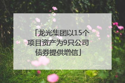 龙光集团以15个项目资产为9只公司债券提供增信