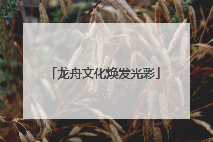 龙舟文化焕发光彩