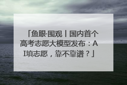 鱼眼·围观丨国内首个高考志愿大模型发布：AI填志愿，靠不靠谱？