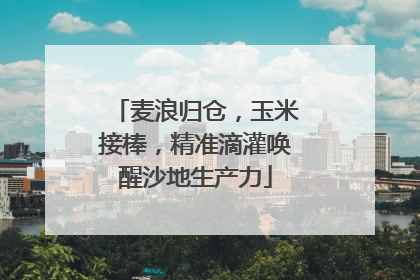 麦浪归仓，玉米接棒，精准滴灌唤醒沙地生产力