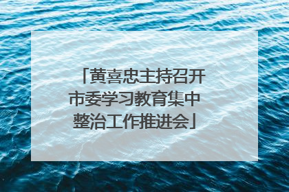 黄喜忠主持召开市委学习教育集中整治工作推进会