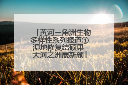 黄河三角洲生物多样性系列报道①湿地修复结硕果 大河之洲展新颜