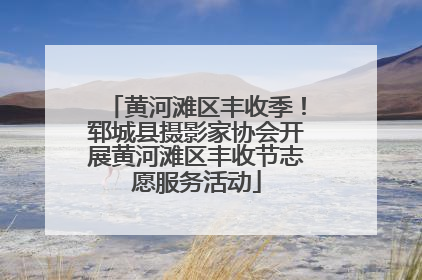 黄河滩区丰收季！郓城县摄影家协会开展黄河滩区丰收节志愿服务活动