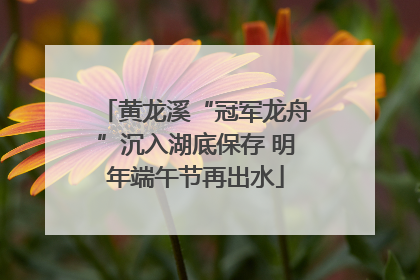 黄龙溪“冠军龙舟”沉入湖底保存 明年端午节再出水