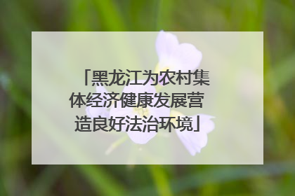 黑龙江为农村集体经济健康发展营造良好法治环境