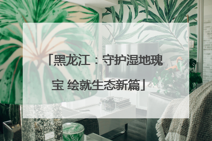 黑龙江：守护湿地瑰宝 绘就生态新篇