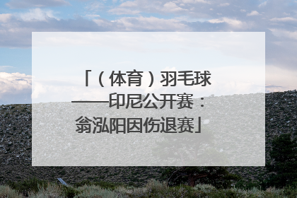 （体育）羽毛球——印尼公开赛：翁泓阳因伤退赛