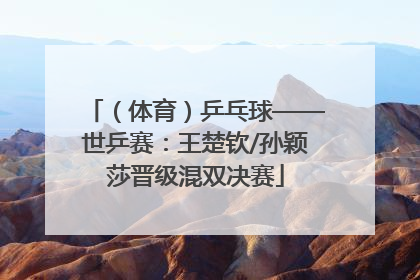 （体育）乒乓球——世乒赛：王楚钦/孙颖莎晋级混双决赛