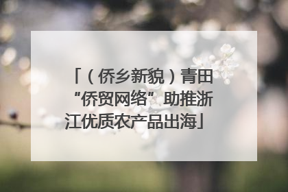 （侨乡新貌）青田“侨贸网络”助推浙江优质农产品出海