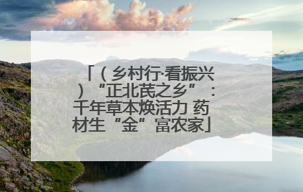 （乡村行·看振兴）“正北芪之乡”：千年草本焕活力 药材生“金”富农家