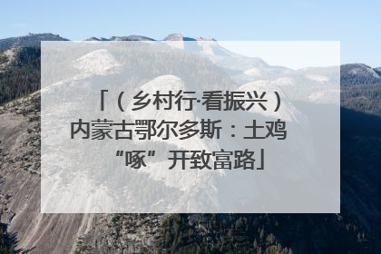 （乡村行·看振兴）内蒙古鄂尔多斯：土鸡“啄”开致富路