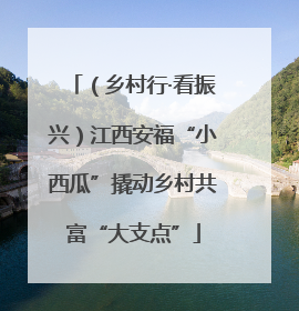 （乡村行·看振兴）江西安福“小西瓜”撬动乡村共富“大支点”