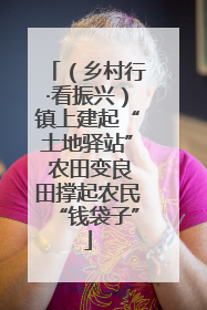 （乡村行·看振兴）镇上建起“土地驿站” 农田变良田撑起农民“钱袋子”