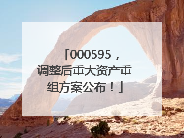 000595，调整后重大资产重组方案公布！
