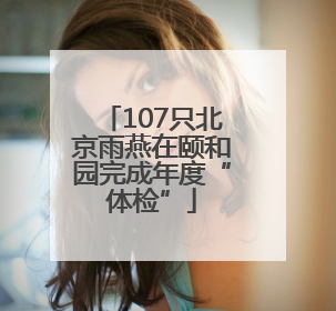 107只北京雨燕在颐和园完成年度“体检”