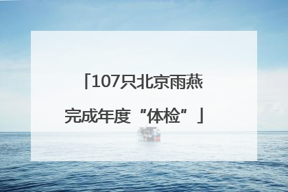 107只北京雨燕完成年度“体检”