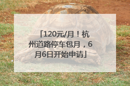 120元/月！杭州道路停车包月，6月6日开始申请