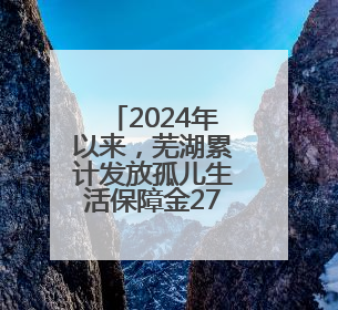 2024年以来，芜湖累计发放孤儿生活保障金2758万元