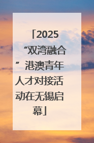 2025“双湾融合”港澳青年人才对接活动在无锡启幕