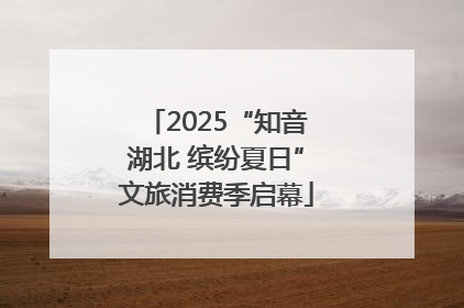 2025“知音湖北 缤纷夏日”文旅消费季启幕