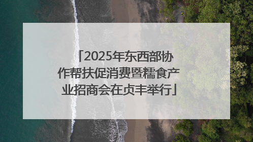 2025年东西部协作帮扶促消费暨糯食产业招商会在贞丰举行