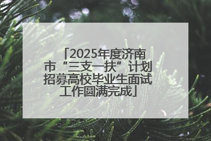 2025年度济南市“三支一扶”计划招募高校毕业生面试工作圆满完成