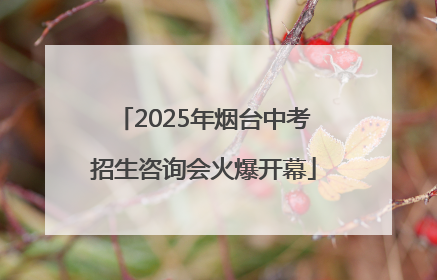 2025年烟台中考招生咨询会火爆开幕
