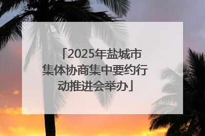 2025年盐城市集体协商集中要约行动推进会举办