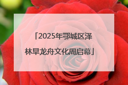 2025年鄂城区泽林旱龙舟文化周启幕