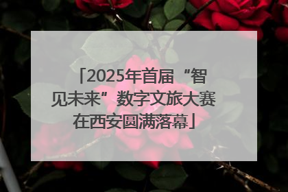 2025年首届“智见未来”数字文旅大赛在西安圆满落幕