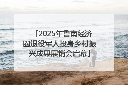 2025年鲁南经济圈退役军人投身乡村振兴成果展销会启幕