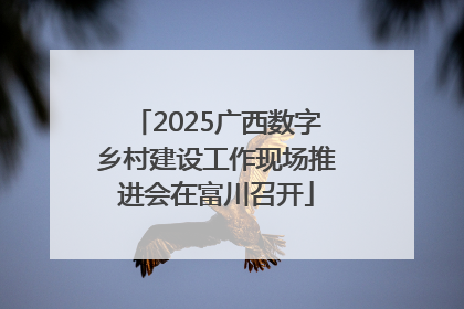 2025广西数字乡村建设工作现场推进会在富川召开