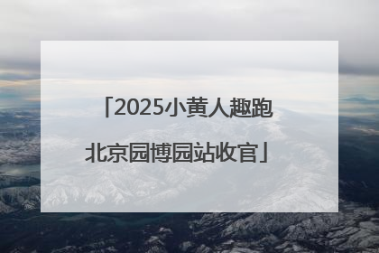 2025小黄人趣跑北京园博园站收官