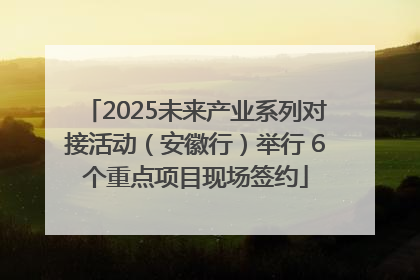 2025未来产业系列对接活动（安徽行）举行 6个重点项目现场签约
