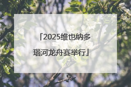 2025维也纳多瑙河龙舟赛举行