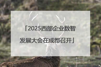 2025西部企业数智发展大会在成都召开