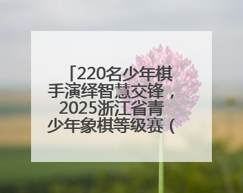 220名少年棋手演绎智慧交锋，2025浙江省青少年象棋等级赛（温州站）收官