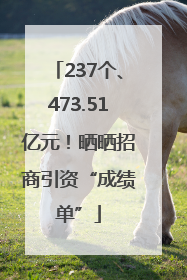 237个、473.51亿元！晒晒招商引资“成绩单”