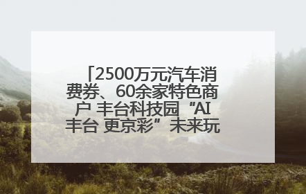 2500万元汽车消费券、60余家特色商户 丰台科技园“AI丰台 更京彩”未来玩家市集活动正式开幕