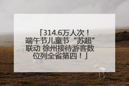 314.6万人次！端午节儿童节“苏超”联动 徐州接待游客数位列全省第四！